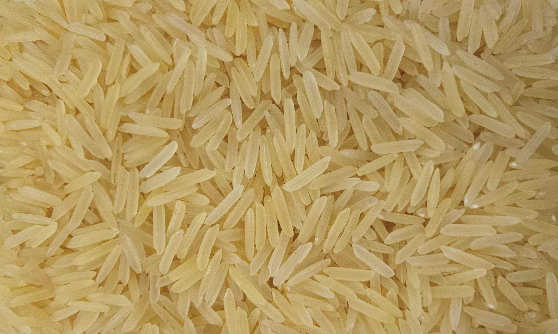 1509 Golden Sella Basmati Rice